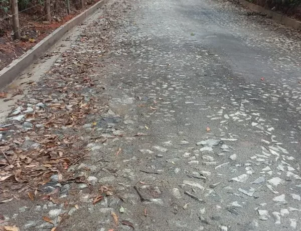 WhatsApp-Image-2024-04-22-at-14.22.14